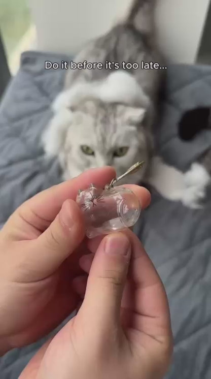 Cat Hair Keepsake Keychain
